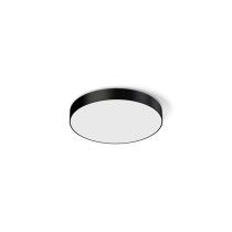Disc SF Ø58cm