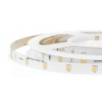 Prime Series 42LED/m 10W CRI80+