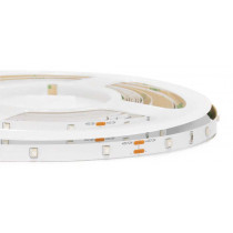 Standard Series 30LED/m Monochromatic