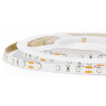 Standard Series 60LED/m Monochromatic