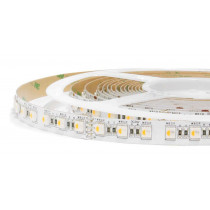 Standard Series RGBWW-RGBCW 108/84/60/48LED/m